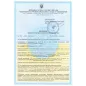 Концентрат тонуючий універсальний Anserglob №151 блакитний, 100 мл